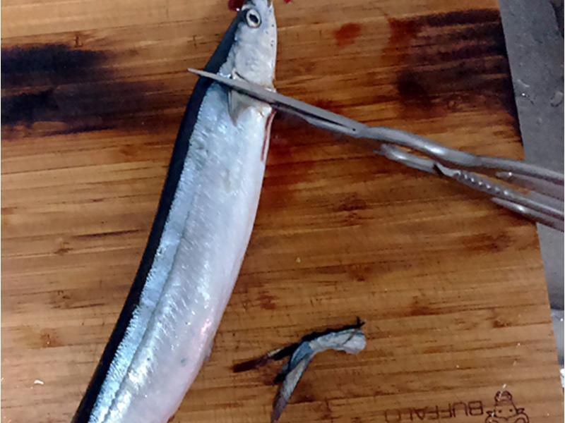 �ձ�����10���Ӵ����ﵶ�㼼�ɷ���������