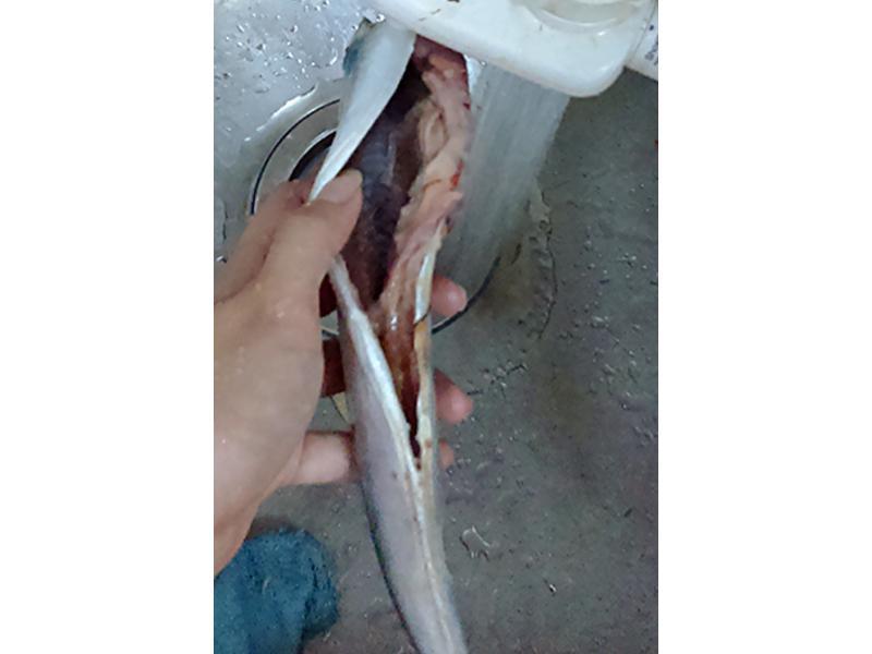 �ձ�����10���Ӵ����ﵶ�㼼�ɷ���������