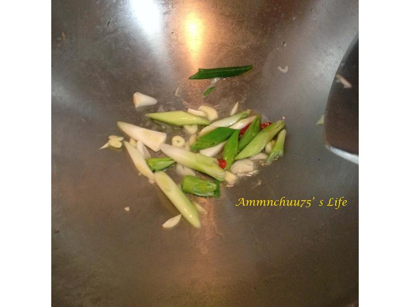 ���ﻨ֦������