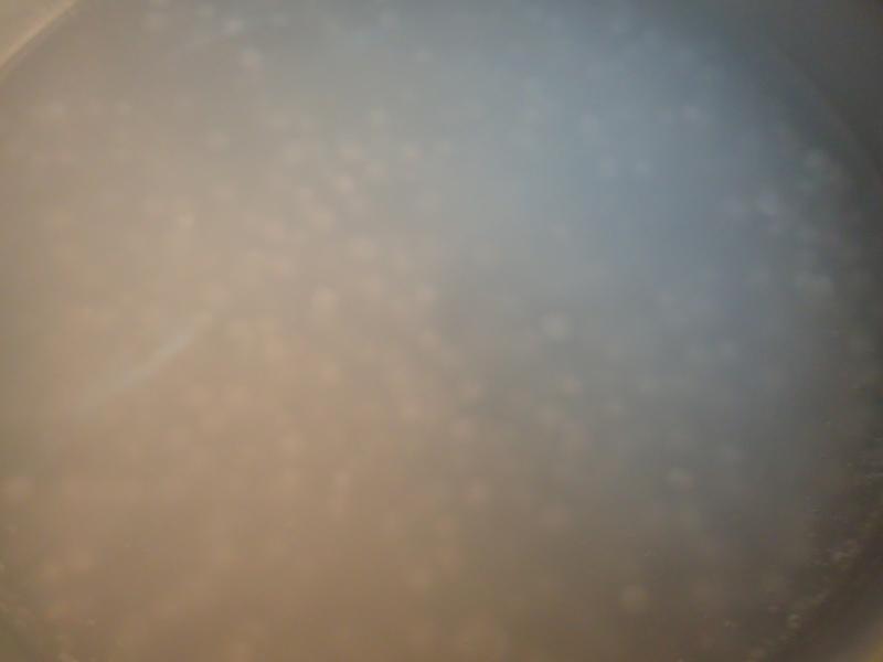 ��������¶-ӥ�����̵�����