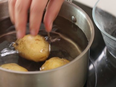 ��������ɳ�ɵ�����