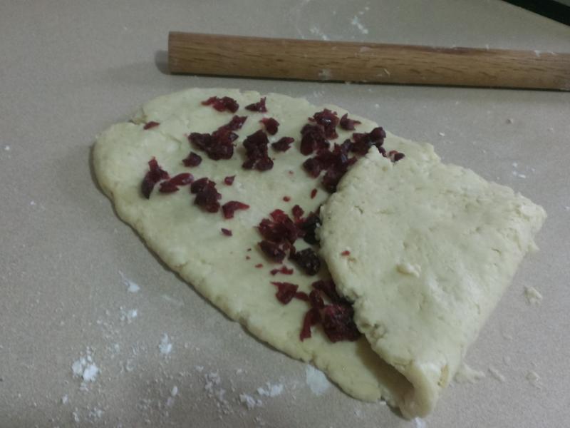 ����ݮ��˾��������