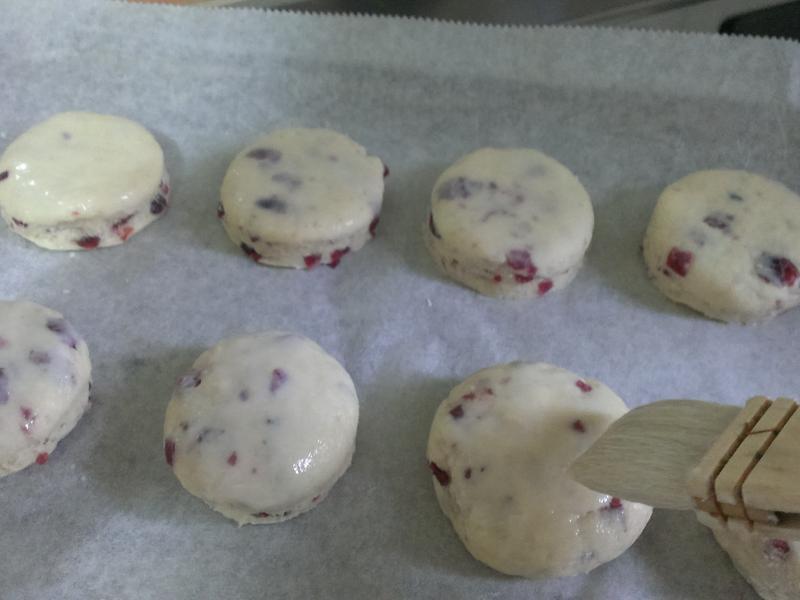 ����ݮ��˾��������