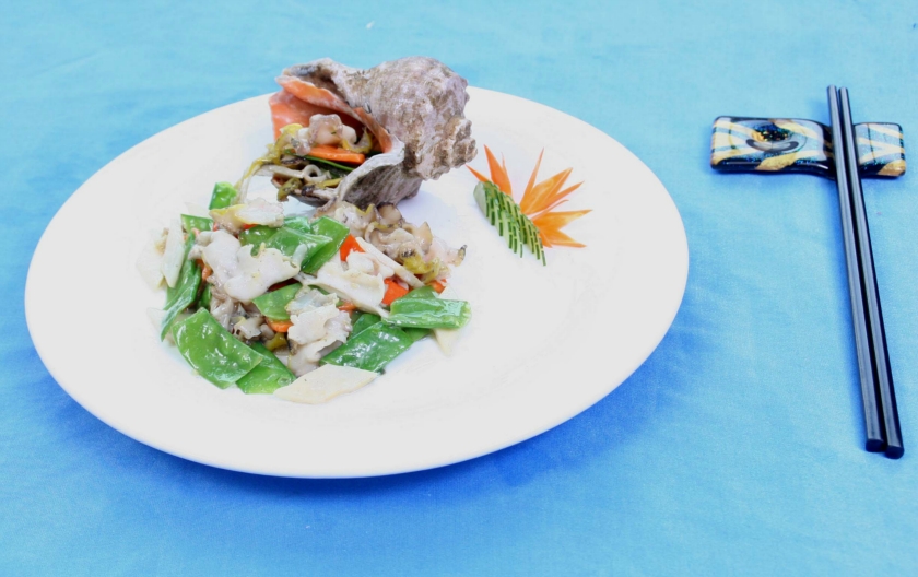 ������Ƭ������