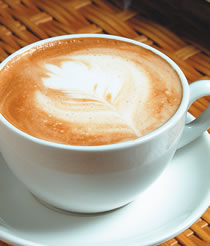 ��������-Ҷ������������