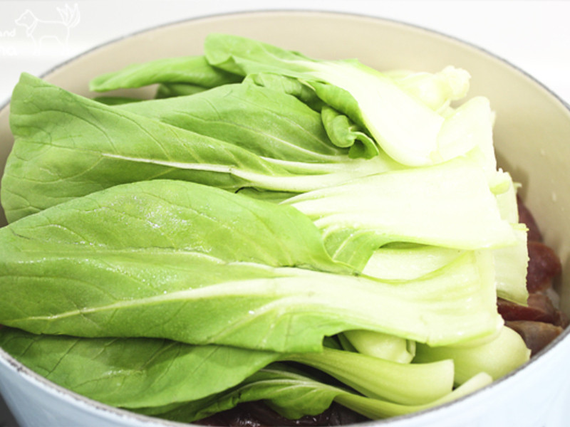 ��ʽ������������