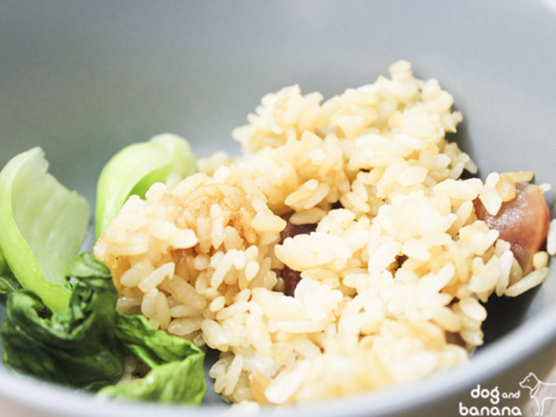 ��ʽ������������