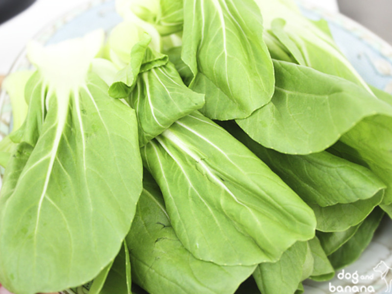 ��ʽ������������