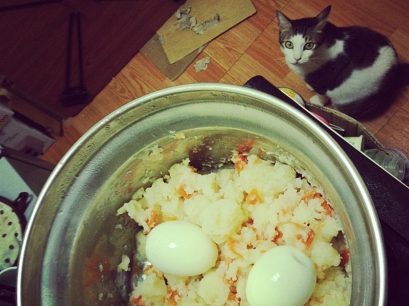 �����������ɳ����������