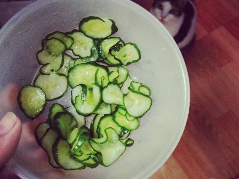 �����������ɳ����������