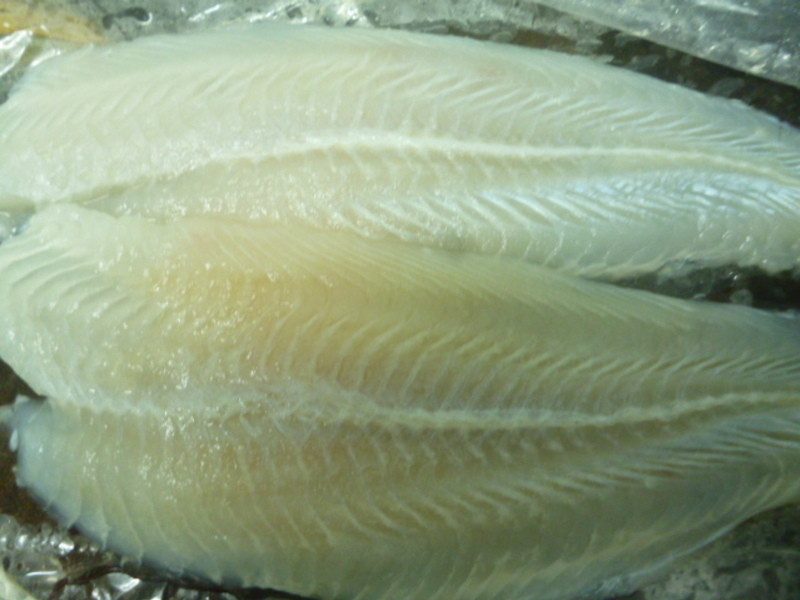 ɳ��������Ƭ������