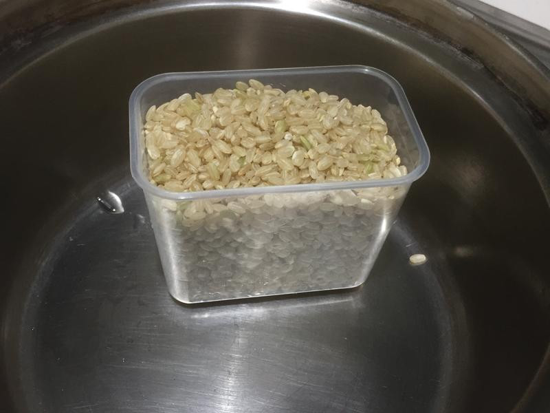 ����׷�������