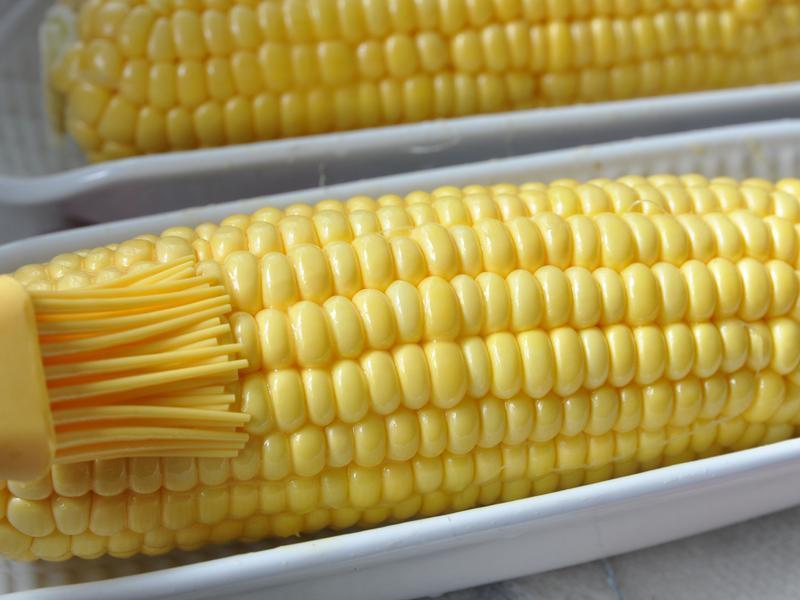 ��ʽ�����������׵�����