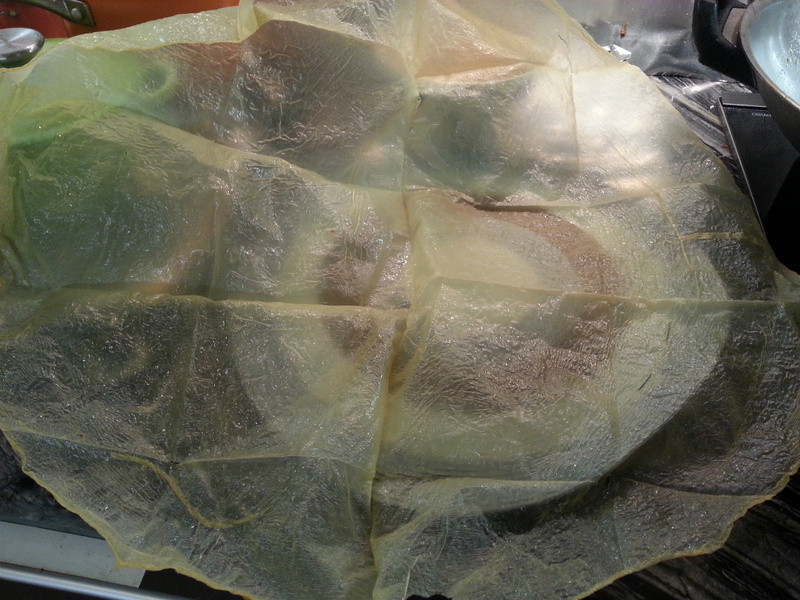 ����˿��Ƥ��������