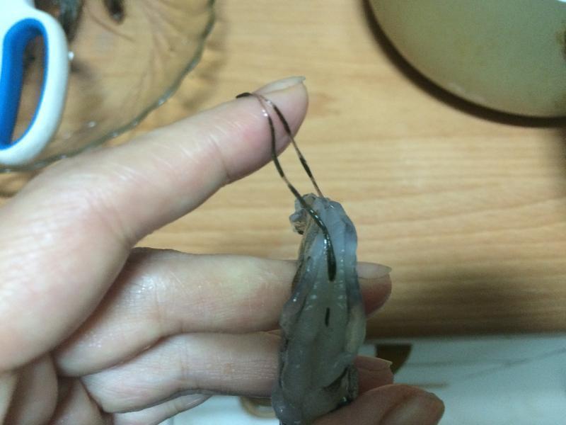 ��������Ϻ��������