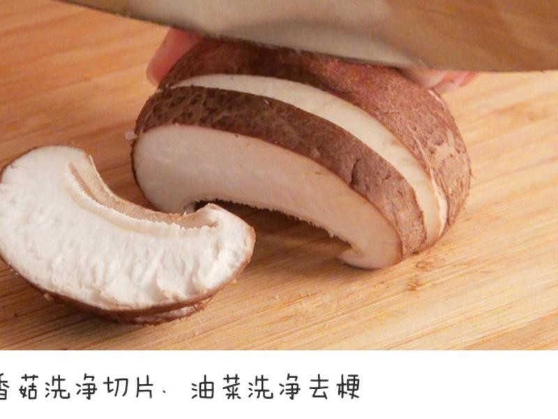 ����㹽�׺�������