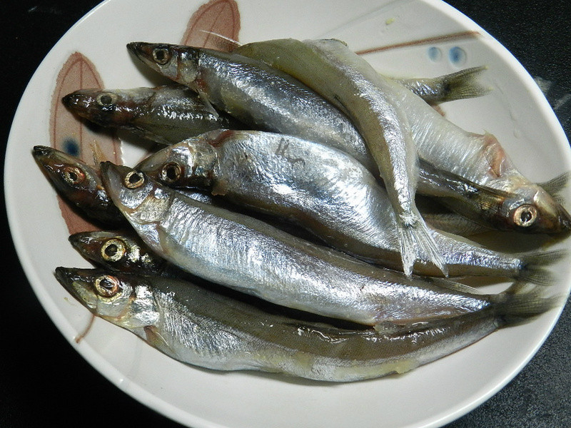 ��ը��Ҷ�������