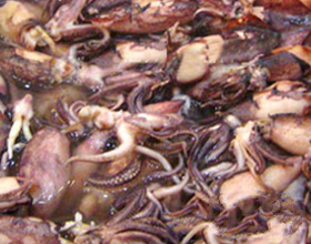 �������������