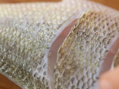 �h̩ʽ�����������