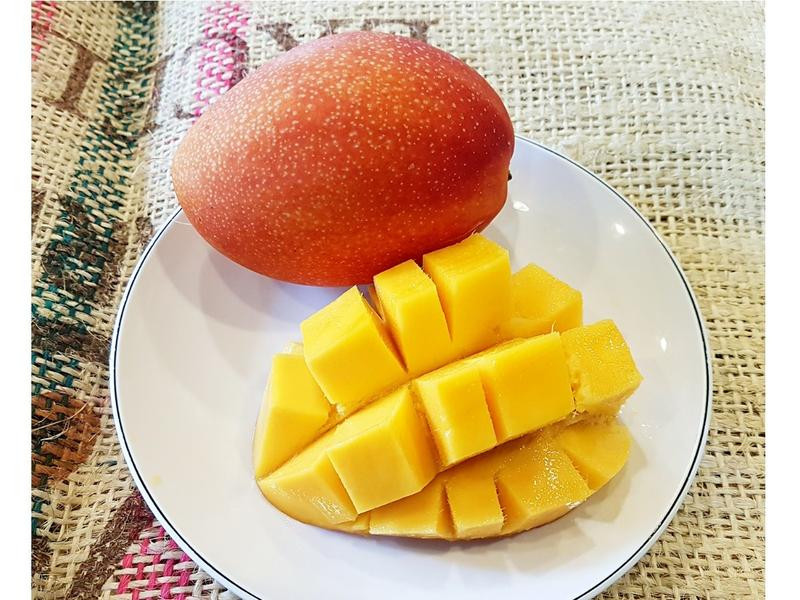 ˫��ţ�̵�����