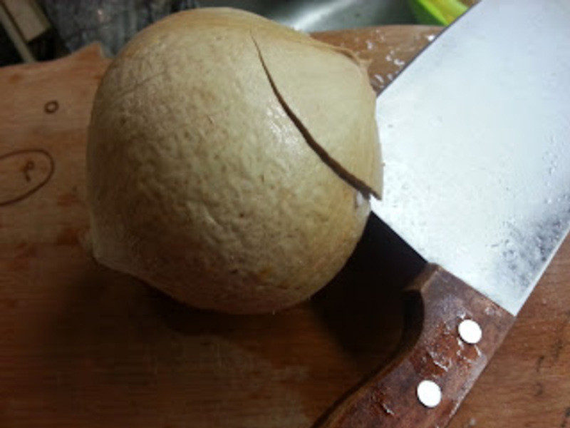 Ҭ��ţ�������׵�����