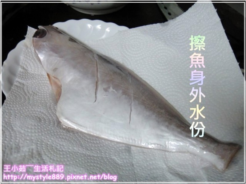 ���»����ó���ֽ������������������