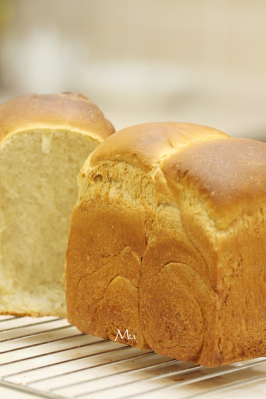 ������˾������