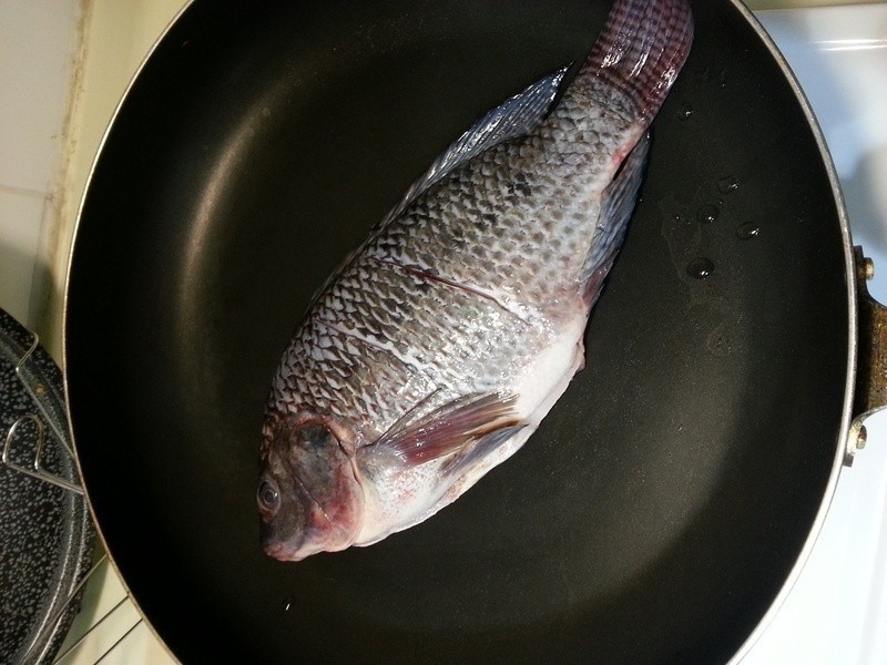 ��ʽ��������??�������������������·�������