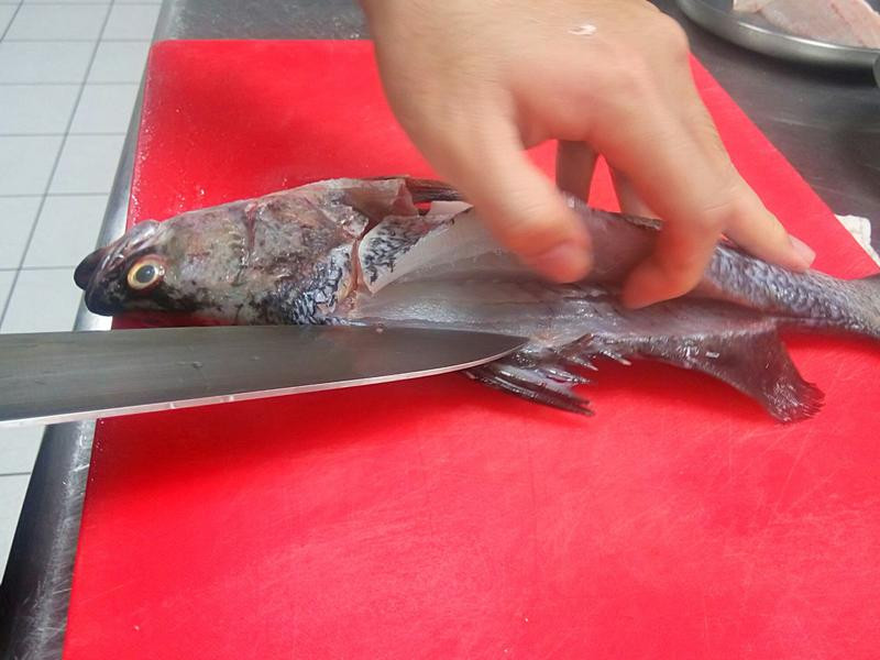 ����Ģ�������Ÿ�����������������