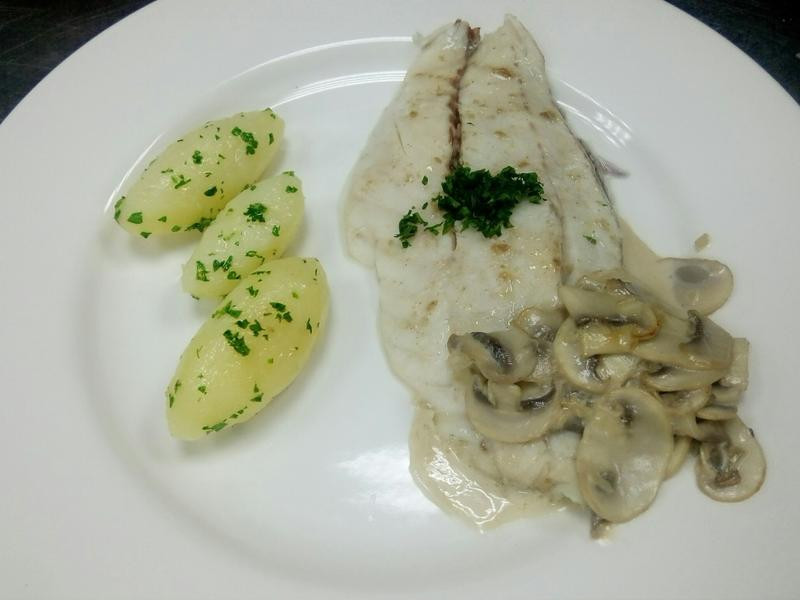 ����Ģ�������Ÿ�����������������