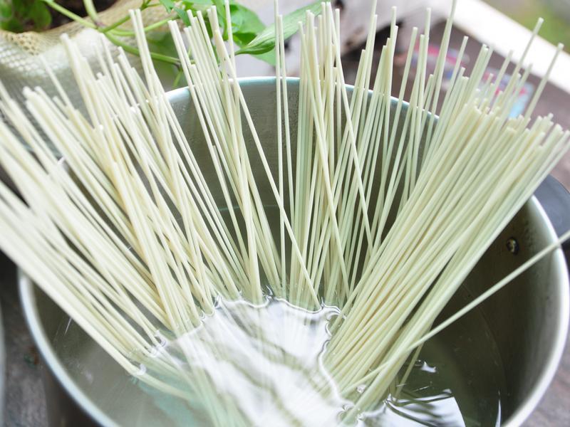 ����Ģ���������