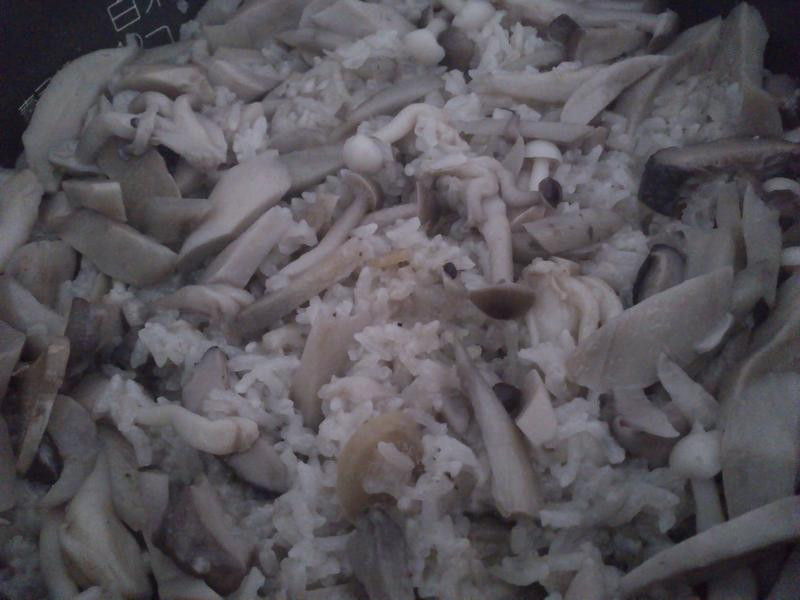 ��������ţ������������