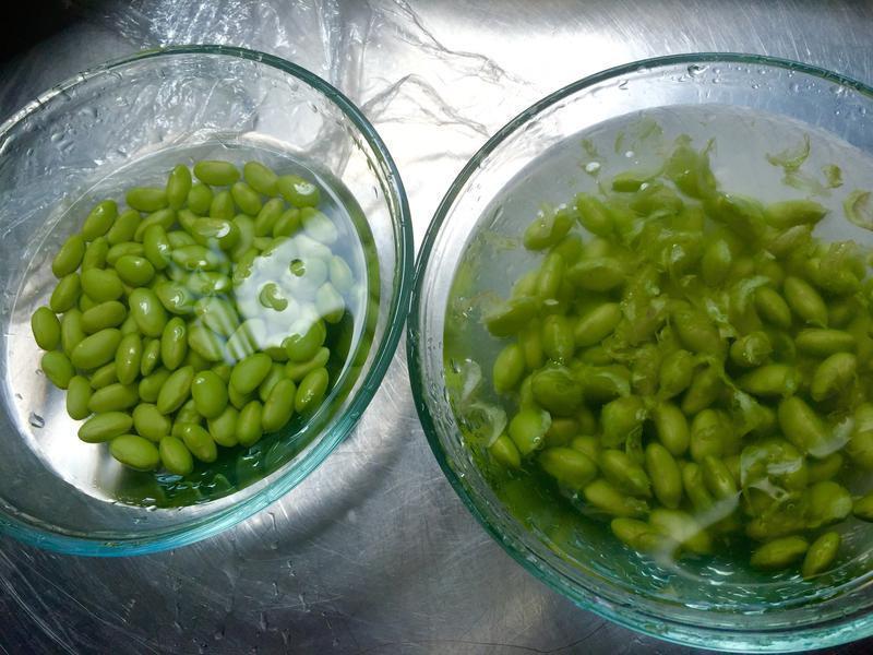 �������������¾Ʋˣ�������