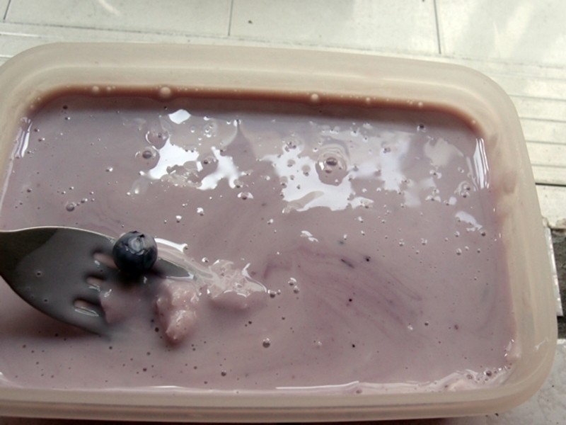 Olivia?��ݮѩ�� Blueberry Sherbet������