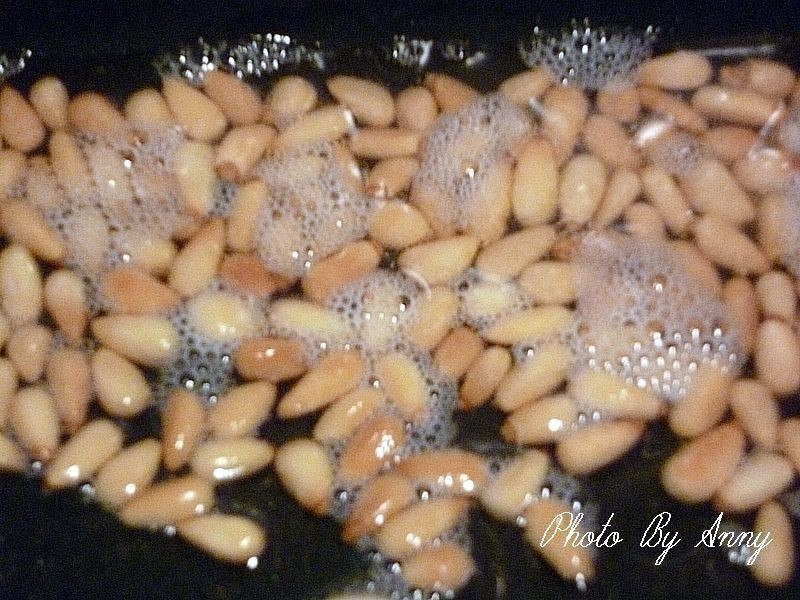 ����ţ�������