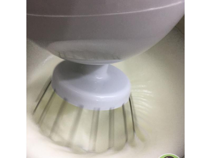 ���ǰ浰��˪��������