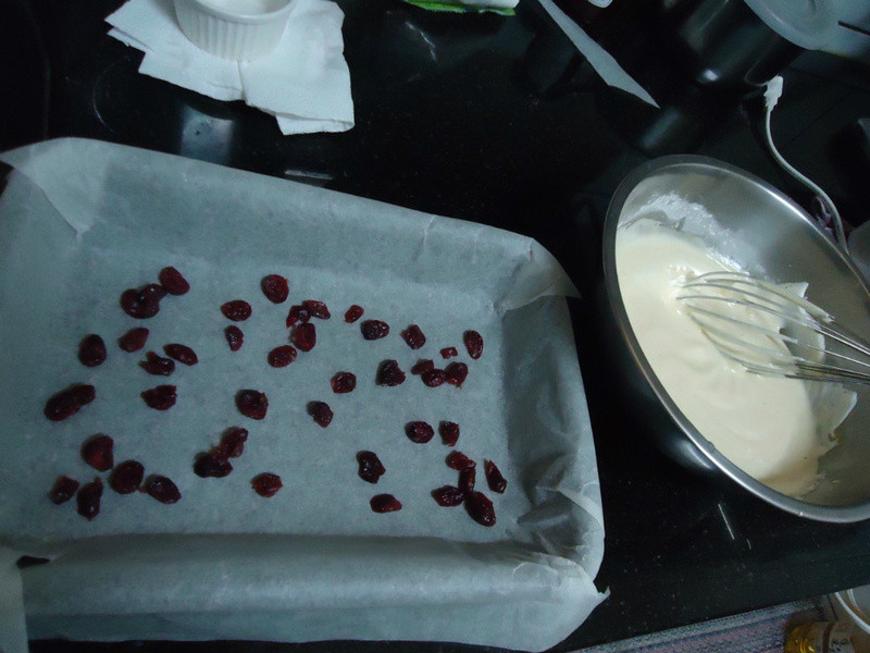 [ �����һ�������] ��Խݮ�����������