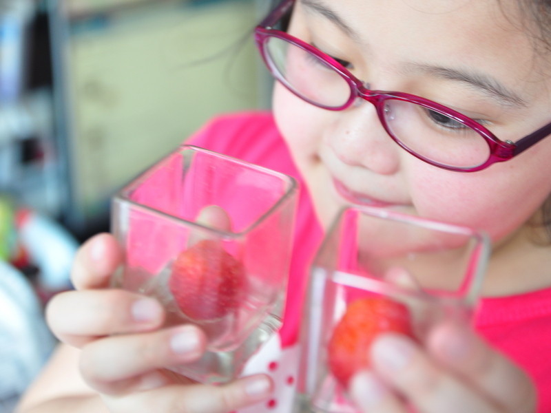 �������ݮ����������