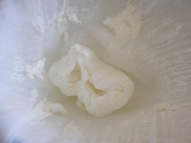 �Ÿ��������