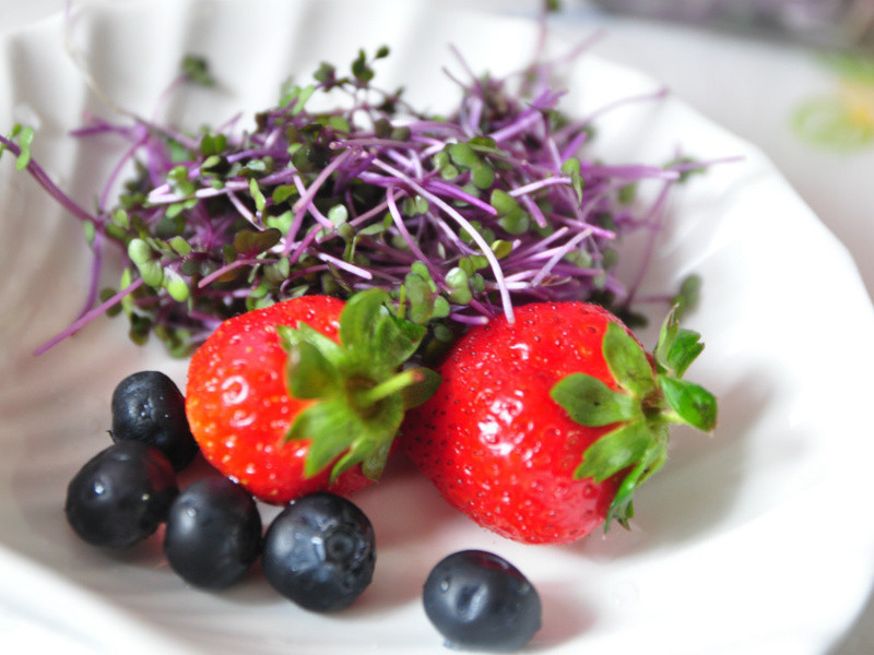 ���������ɷ��ŵ�����