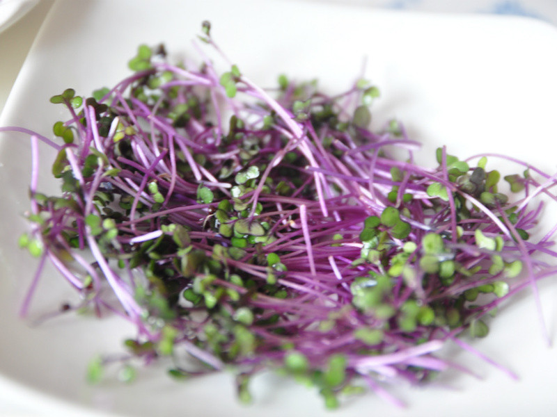 ���������ɷ��ŵ�����