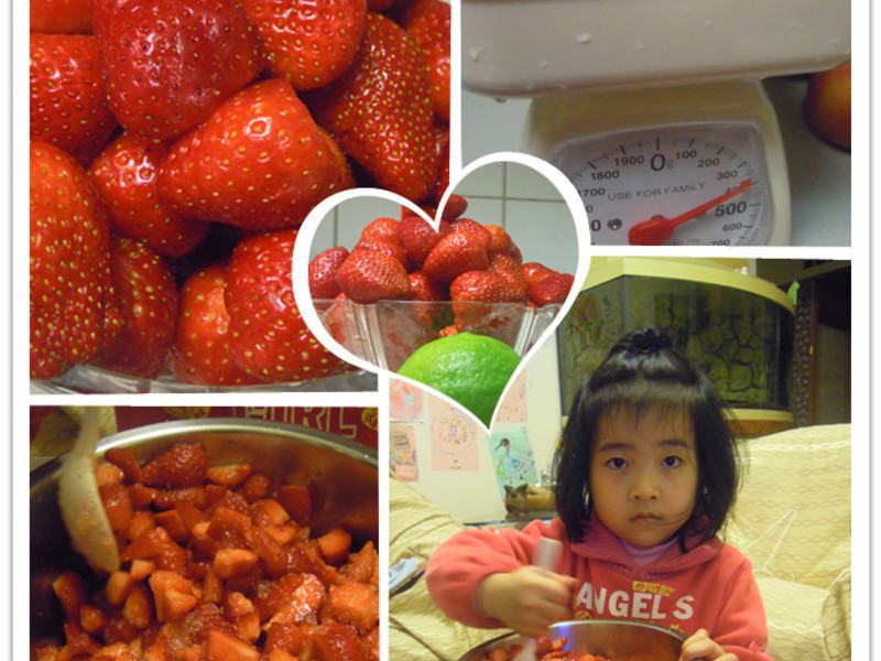 ��ʽ������ݮ����������