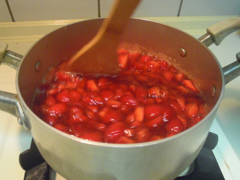 ��ʽ������ݮ����������