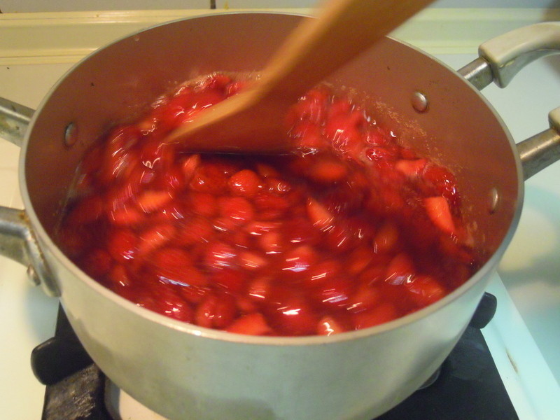 ��ʽ������ݮ����������