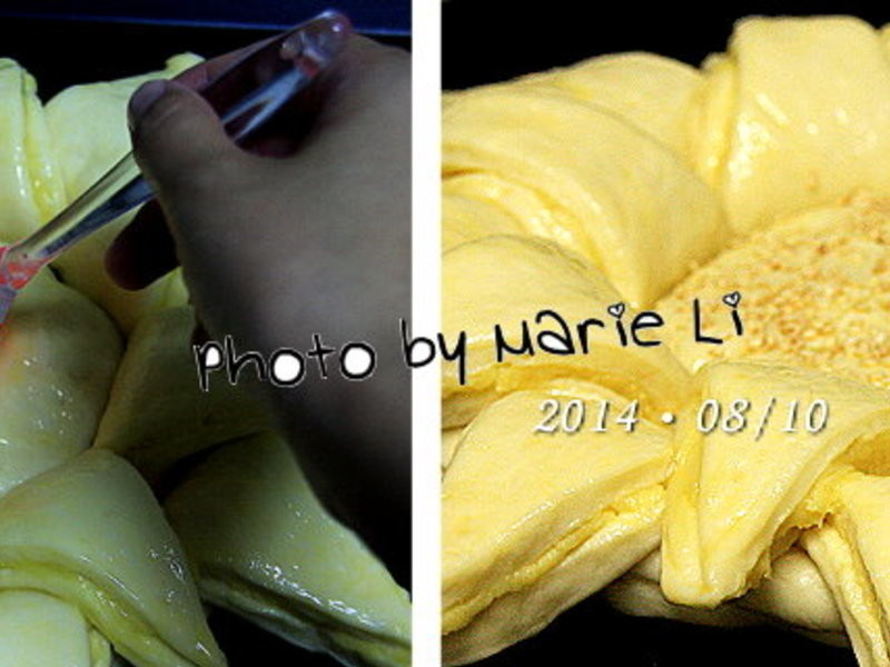 ����A ���������ƽ����տ����������