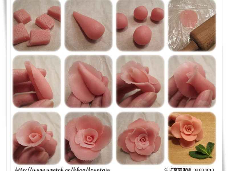 ��ʽ��ݮ���������