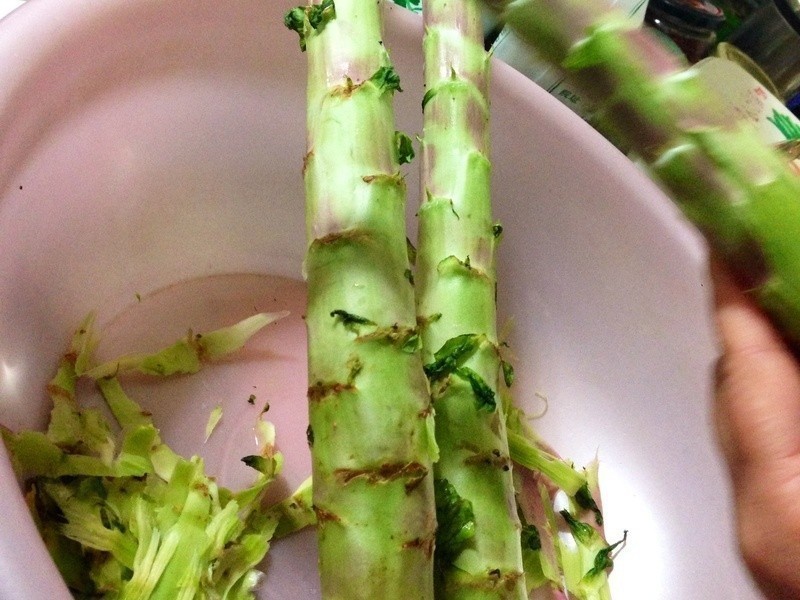 �������ղ��ĵ�����