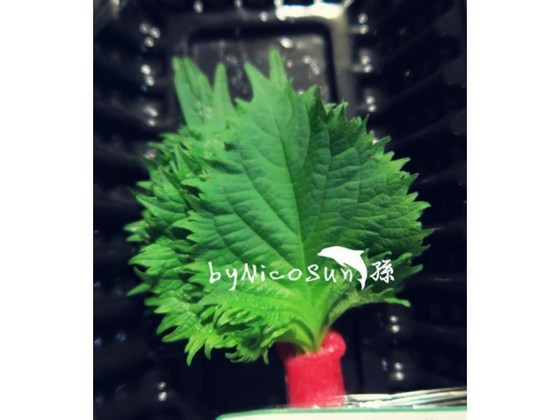 ����÷���ⷹ�ŵ�����