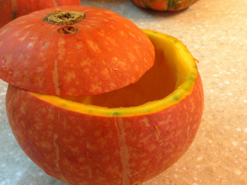 �ϹϿ�Ϻ�շ�������