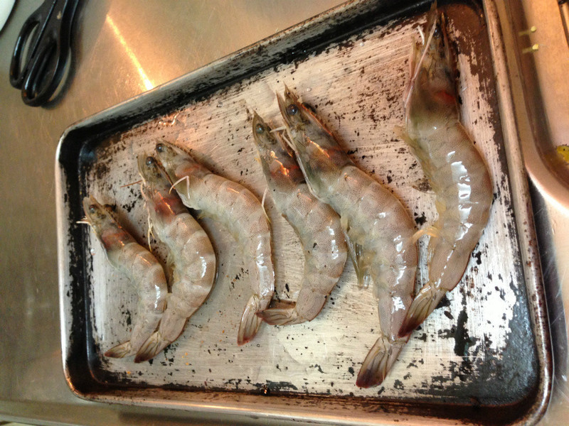 �ϹϿ�Ϻ�շ�������